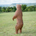 Wildcrete Grizzly Bear
